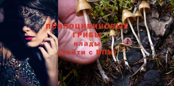 мдпв Балахна