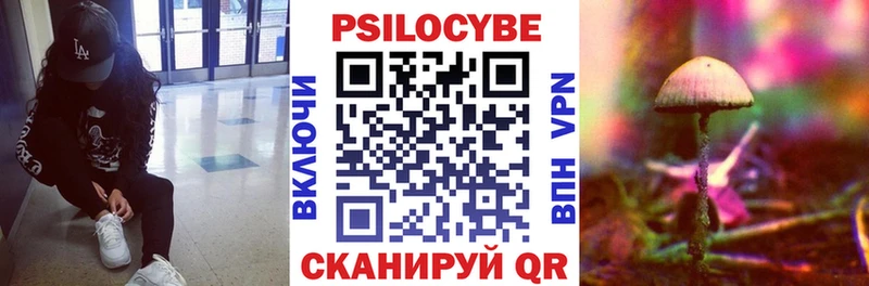 Псилоцибиновые грибы Cubensis  даркнет сайт  мега ссылки  Кудрово 